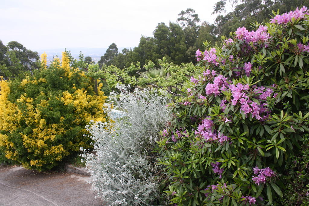 Quinta Das Leiras 산토티르소 외부 사진