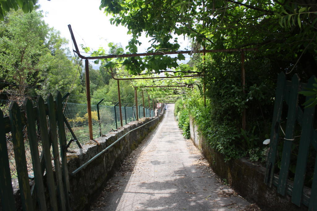 Quinta Das Leiras 산토티르소 외부 사진