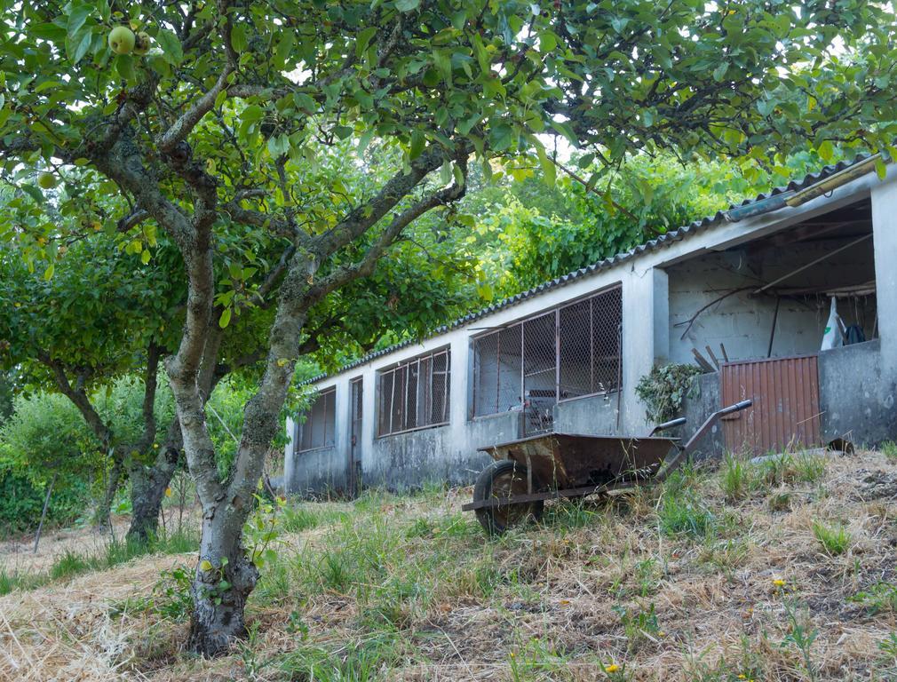 Quinta Das Leiras 산토티르소 외부 사진