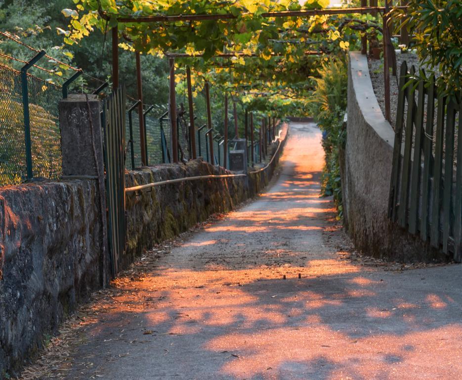 Quinta Das Leiras 산토티르소 외부 사진