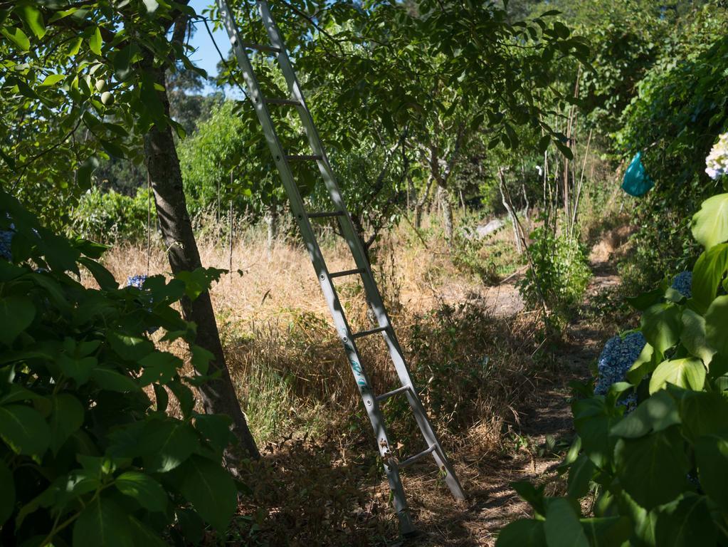 Quinta Das Leiras 산토티르소 외부 사진