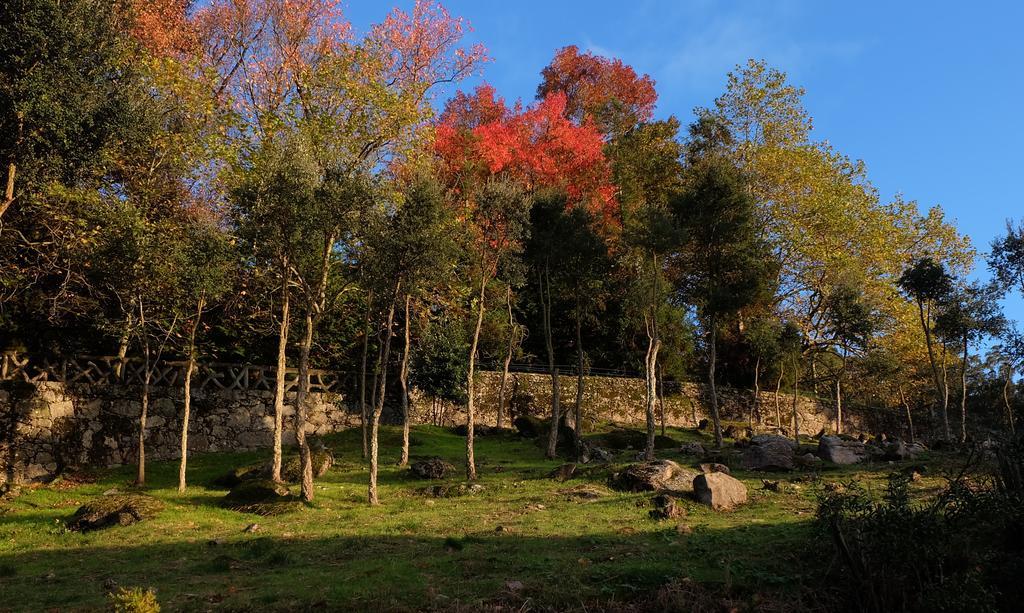 Quinta Das Leiras 산토티르소 외부 사진