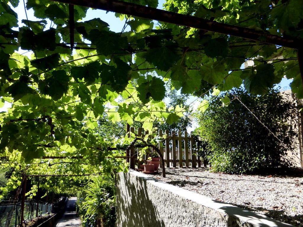 Quinta Das Leiras 산토티르소 외부 사진